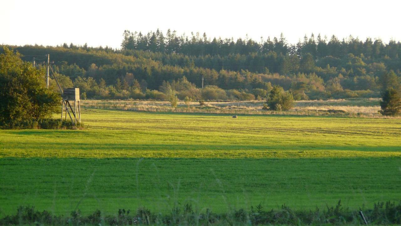 Lynggaard B&B Nibe Buitenkant foto